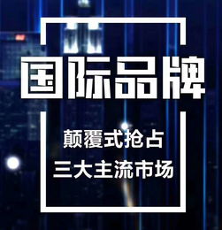 上海网络推广加盟 探索多元推广方式，共筑科技服务新未来